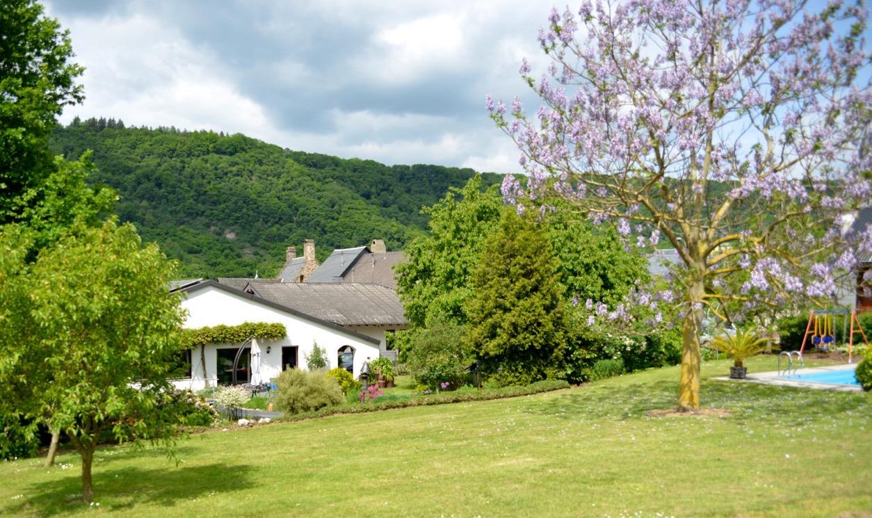 Appartement de vacances Ferienweingut Hess-Becker 4-Bettwohnung Grauwacke (241983), Bruttig-Fankel, Mosel-Saar, Rhénanie-Palatinat, Allemagne, image 16