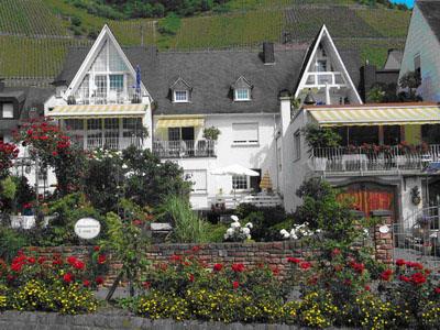 Scheid, Edith 2-Bettwohnung, Rittersporn Scheid, Edith 2-Bettwohnung, Rittersporn