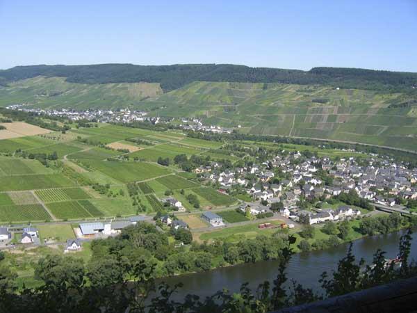 Ferienhaus Fewo BURGBLICK- Fam. Gierens 6-Bett Ferienhaus (242645), Traben-Trarbach, Mosel-Saar, Rheinland-Pfalz, Deutschland, Bild 24