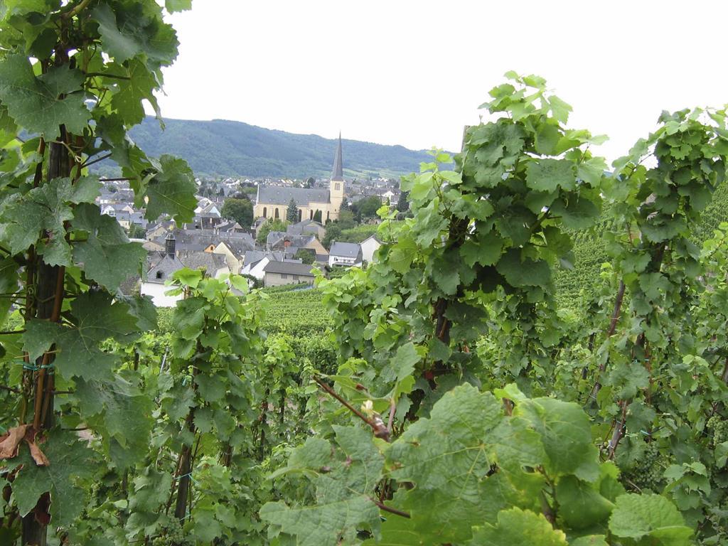 Ferienhaus Fewo BURGBLICK- Fam. Gierens 6-Bett Ferienhaus (242645), Traben-Trarbach, Mosel-Saar, Rheinland-Pfalz, Deutschland, Bild 22