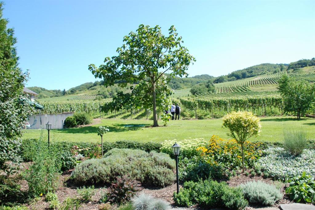 Appartement de vacances Ferienweingut Hess-Becker 4-Bettwohnung Blauschiefer (241984), Bruttig-Fankel, Mosel-Saar, Rhénanie-Palatinat, Allemagne, image 4